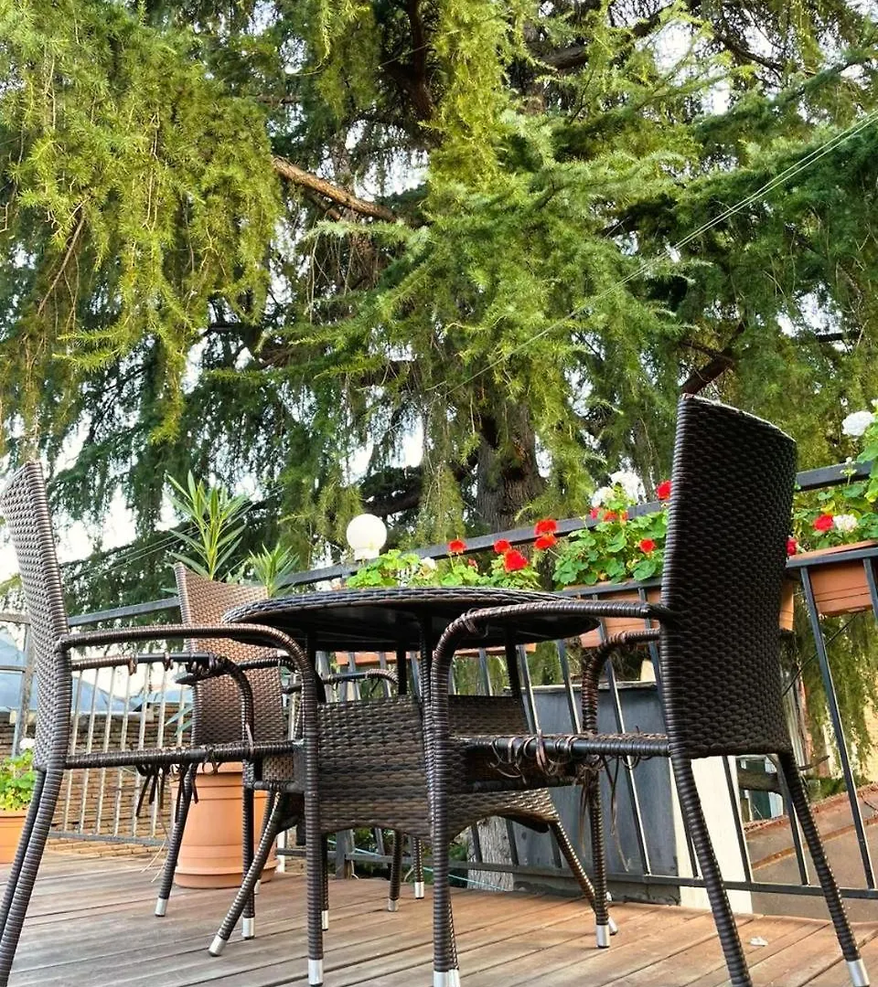 Georgian Guest House On Asatiani Tbilisi